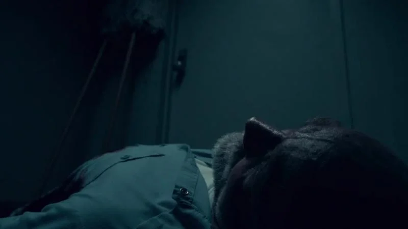 Кадры из сериала По правде говоря (2019)